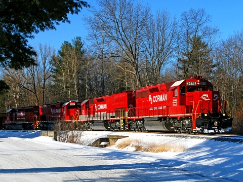fallen timber coal - copy